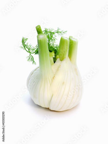 Fennel bulb isolated on white background