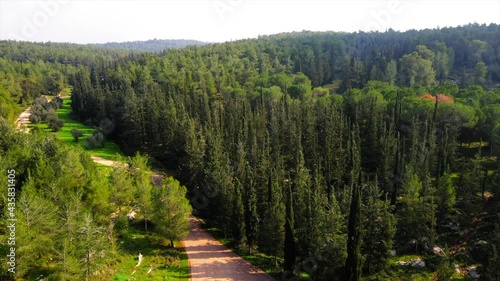 Aerial Tilt Down Shot Of Cars Moving Amidst Trees In Forest On Sunny Day - Ben Shemen, Israel photo