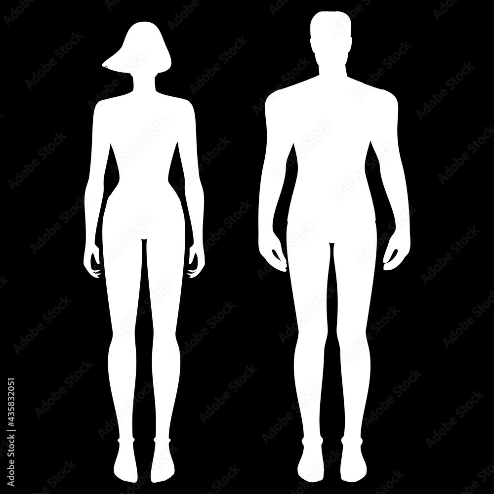 Fototapeta premium silhouette of the male and female body