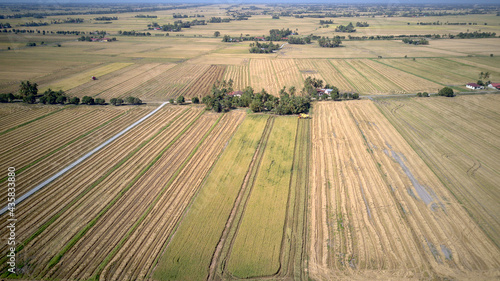 Arial view of paddy field landscape with harvesting in progress