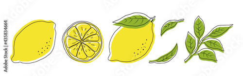 Foto vector illustrations of lemons and leaves for banners, cards, flyers, social media wallpapers, etc