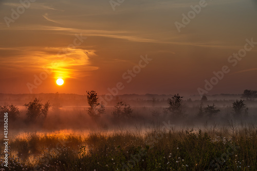 Sonnenaufgang, Frühnebel und Wollgras im Hochmoor. photo