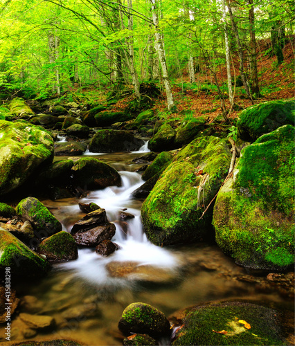 Mountain river in early Autumn