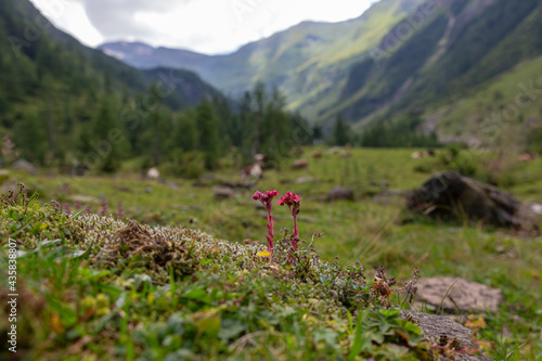 Rauriser Krumltal im Tal der Geier