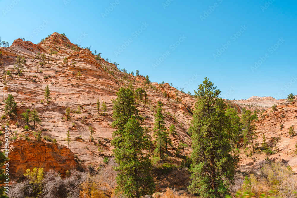 Beautiful landscape of red rocks in Zion National Park, Utah, USA