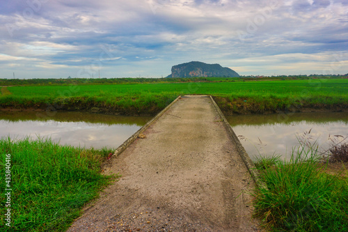 the river in the countryside of Malaysia