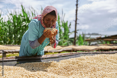 African female worker is mixing coffee beans on drying tabels at washing station photo