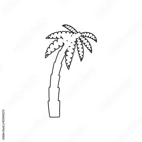 Tropical palm trees, black silhouettes and outline contours on white background