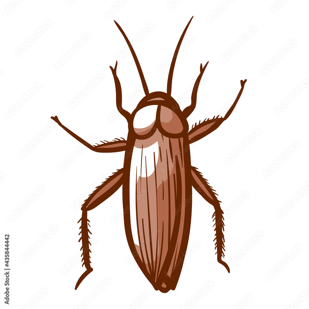 Cockroach hand drawn icon. Insect, home, house parasite pictogram. Pest control, disinfection services. Cockroach hand drawn icon. Insect, home, house parasite pictogram. Pest control, disinfection services.