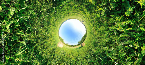 Stereographic panoramic projection of a green wheat field with hay bales. 360 degree panorama.