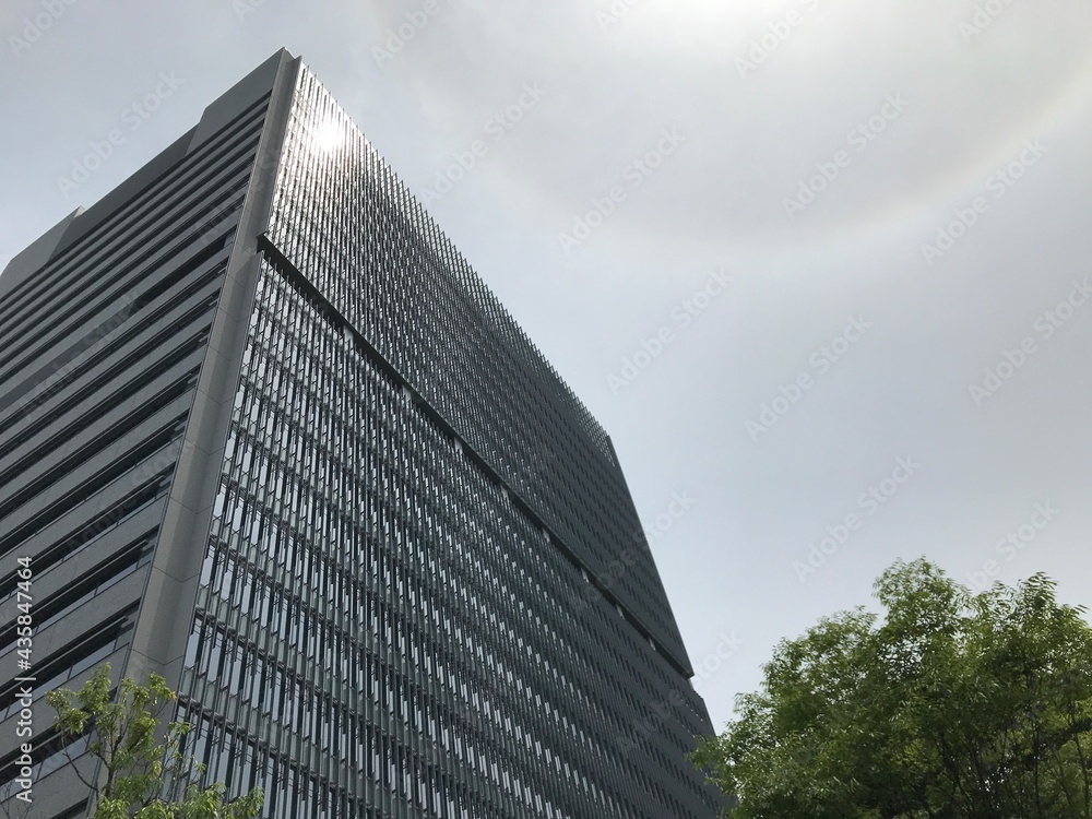 東京の高層ビルと青空と木、都会のビジネスイメージ、繁栄イメージ