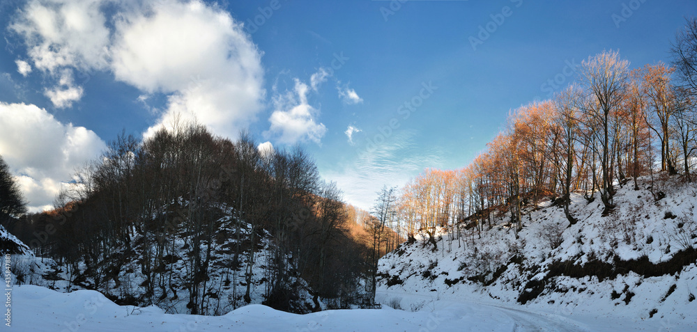 Winter landscape, blue sky and white clouds