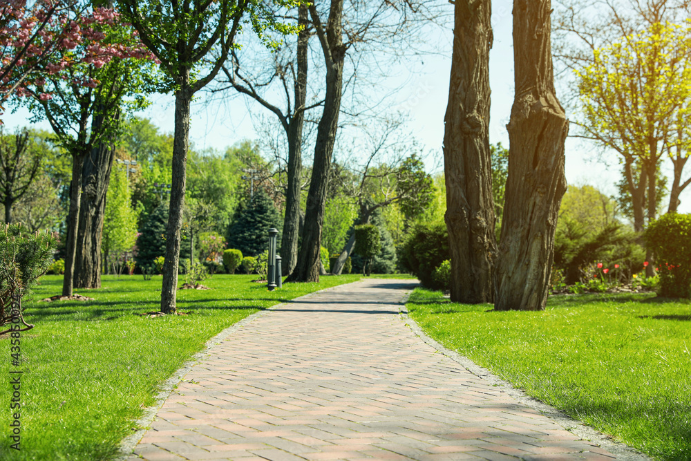 Picturesque view of beautiful park with fresh green grass and trees Picturesque view of beautiful park with fresh green grass and trees