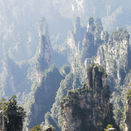 Zhangjiajie cliff mountain at Wulingyuan national forest park , China.