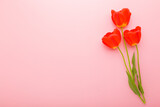 Fresh bright red tulips on light pink table background. Pastel color. Beautiful flowers. Closeup. Empty place for inspirational text, lovely quote or positive sayings. Top down view.