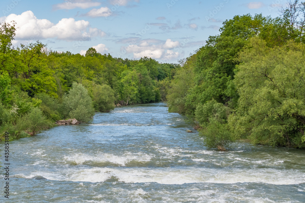 Obraz premium river in the forest
