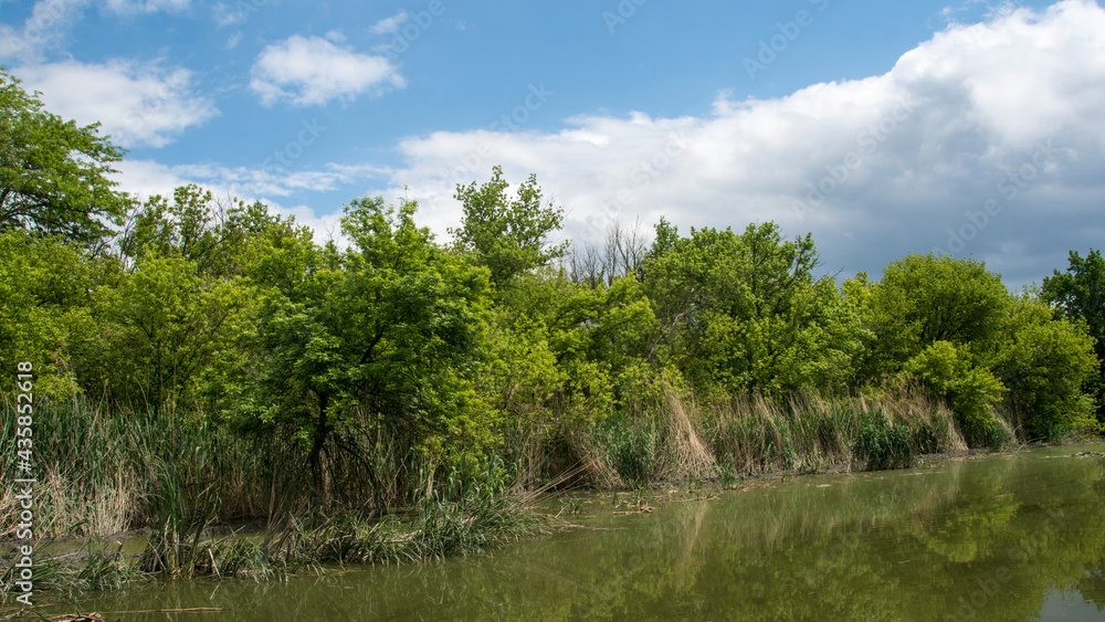 Beautiful swamp, nature reserve