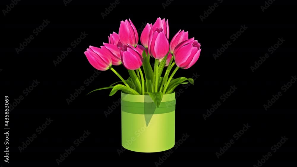 3d Flowers Tulips Gift Alpha Channel Looped Video 3d Flowers Tulips Gift Alpha Channel Looped Video