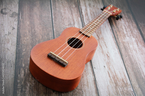 musical instrument guitar with strings