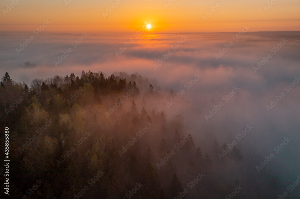 Wonderful sunrise above the foggy forest