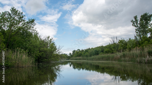 Beautiful swamp, nature reserve Carska bara in Serbia.