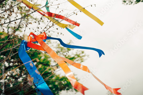 Quadro em tela Wish tree with colored ribbons