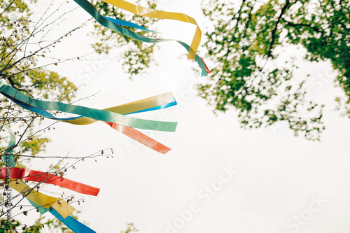 Fotografia Wish tree with colored ribbons