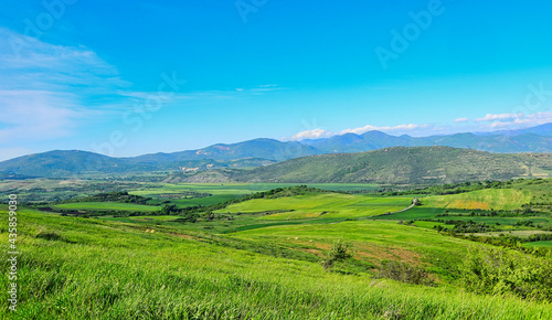 green field and mountains