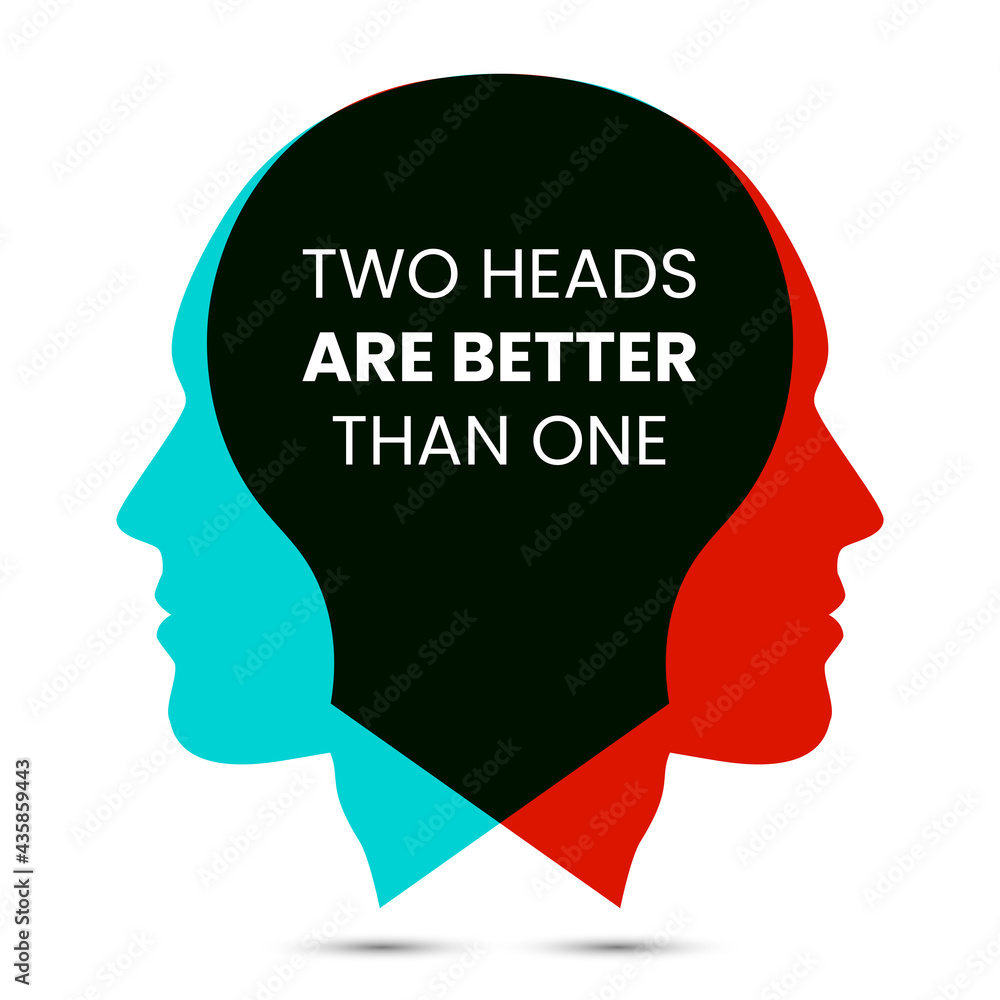 Two heads are better than one. Vector