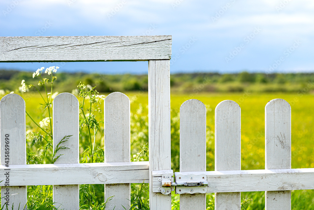 A wooden fence painted white in a rural garden, in the background a field of flowers and a blue sky.