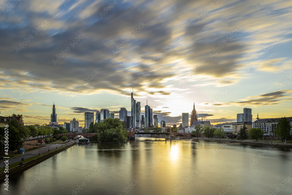 Cleane und moderne Frankfurter Skyline im Hintergrund im Kontrast zu natürlichen und organischen Elementen im Vordergrund