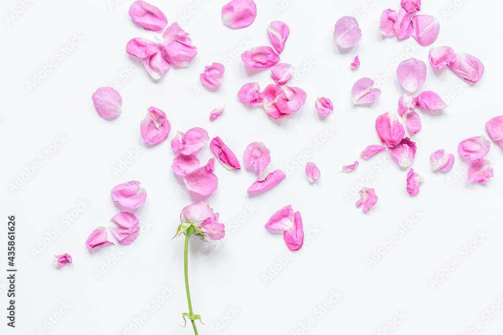 Spring trendy disign with flowers on white table background top view mock up Spring trendy disign with flowers on white table background top view mock up