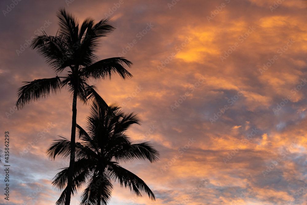 Tropical Sunset With Palm Tree silhouette with dramatic clouds. Destination and travel concept. Tropical Sunset With Palm Tree silhouette with dramatic clouds. Destination and travel concept.
