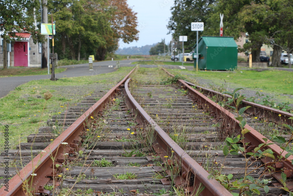Fototapeta premium railway in the countryside