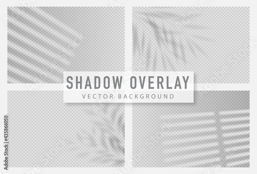 Shadow overlay effect. Transparent shadow of window. Vector illustration.
 photo