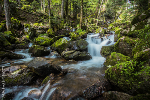 La cascade du Rummel est une chute d'eau du massif des Vosges située sur la commune de Lepuix dans le territoire de Belfort. Très beau site naturel, frais, calme et reposant.