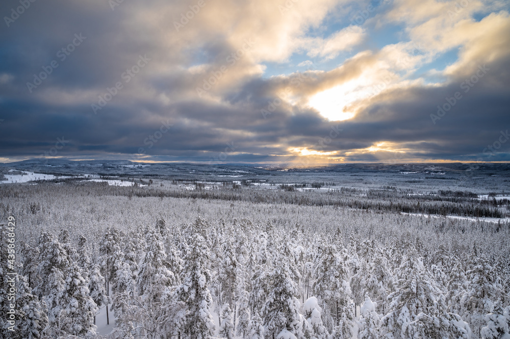 Winter cloudy landscape with forest, trees covered snow and sunray coming through the clouds.