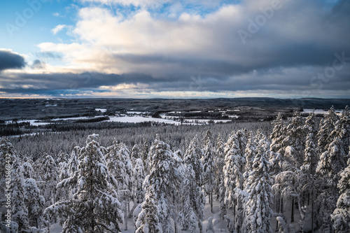 A top view of the snow covered trees in the snowdrifts. Magical winter forest. Natural landscape with beautiful sky. The revival of the planet.