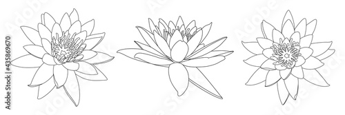 Beautiful lotus flower line drawing isolated element on white background. Black outline. Hand drawn style.Vector illustration.