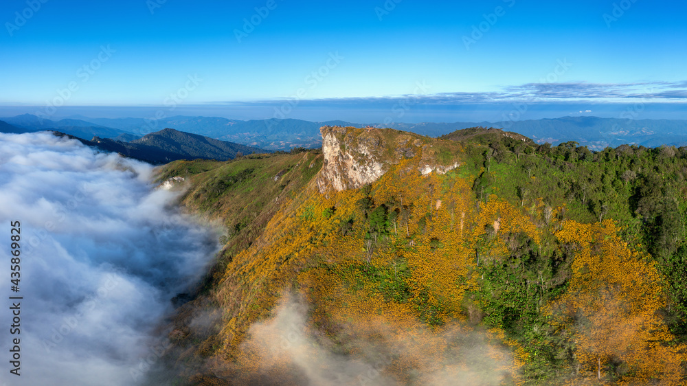 Aerial view of Phu chi fa mountains with mexican flower in Chiang rai, Thailand. Aerial view of Phu chi fa mountains with mexican flower in Chiang rai, Thailand.
