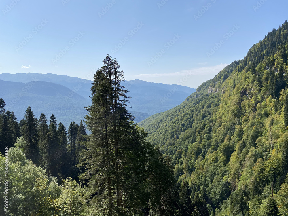 View from the trekking trail Rosa Khutor Ski Resort, Sochi, Russia. Roza Pik is the summit of the Aibga mountain range, which is located at an altitude of 2320 m.