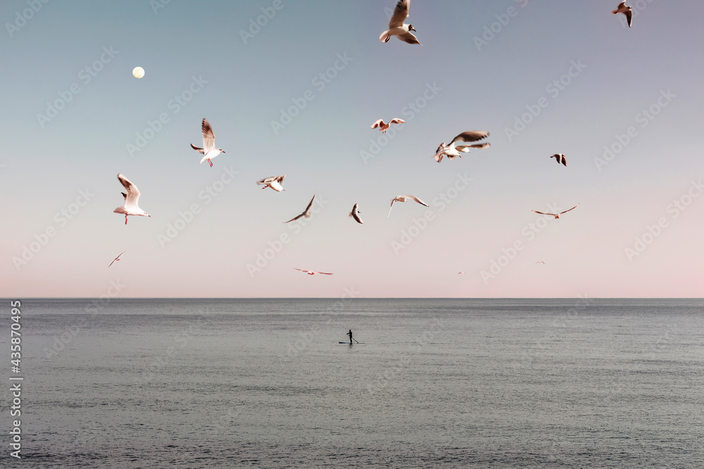 seagulls flying over the beach and the silhouette of a boy paddling