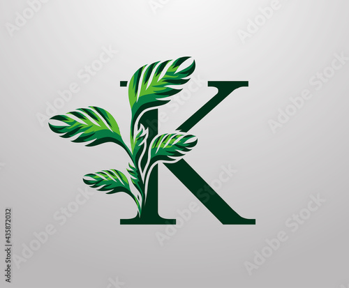 Letter K monstera green plant icon, tropical leaves decorative logo