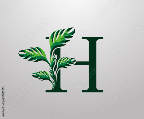 Letter H monstera green plant icon, tropical leaves decorative logo