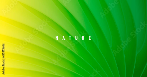 Abstract green nature background with texture of palm leaf close up