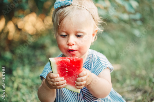 фотографія Summer seasonal picnic food