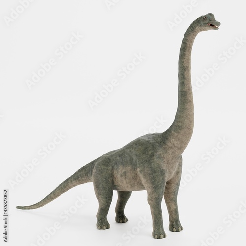 Realistic 3D Render of Brachiosaurus Dinosaur © 3drenderings