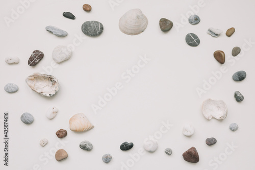 Sea shells pattern on white background. Summer concept. Flat lay, top view