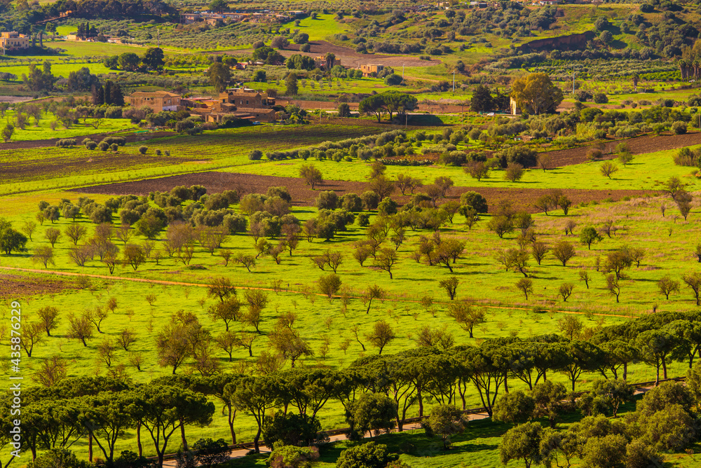 Agricultural landscape in the countryside of Sicily, Italy 