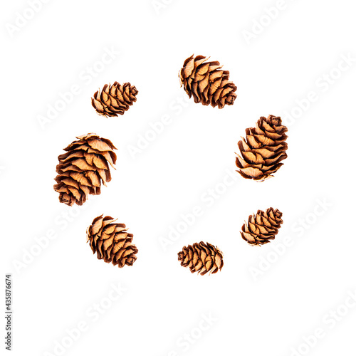 Seamless pattern of small pine cones isolated on white background and standing in the form of a christmas wreath. Winter holidays and autumn concept